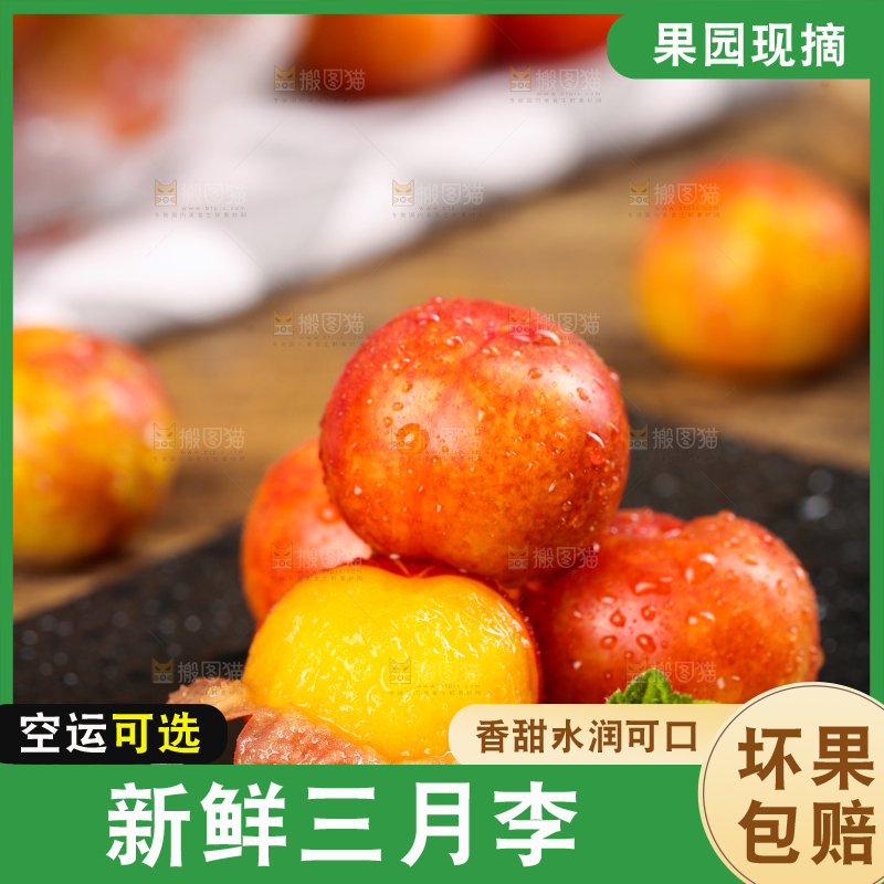 黑石板上放着钱排三月李