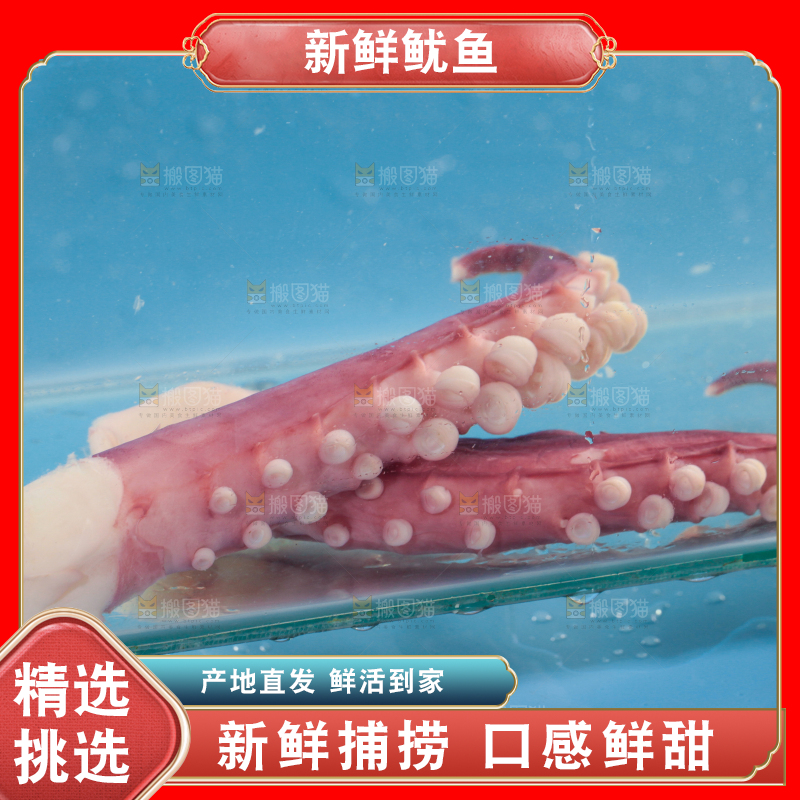 水里放着鱿鱼须