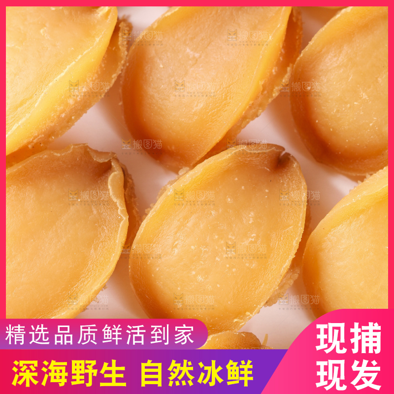 浅底上的北海鲍鱼干