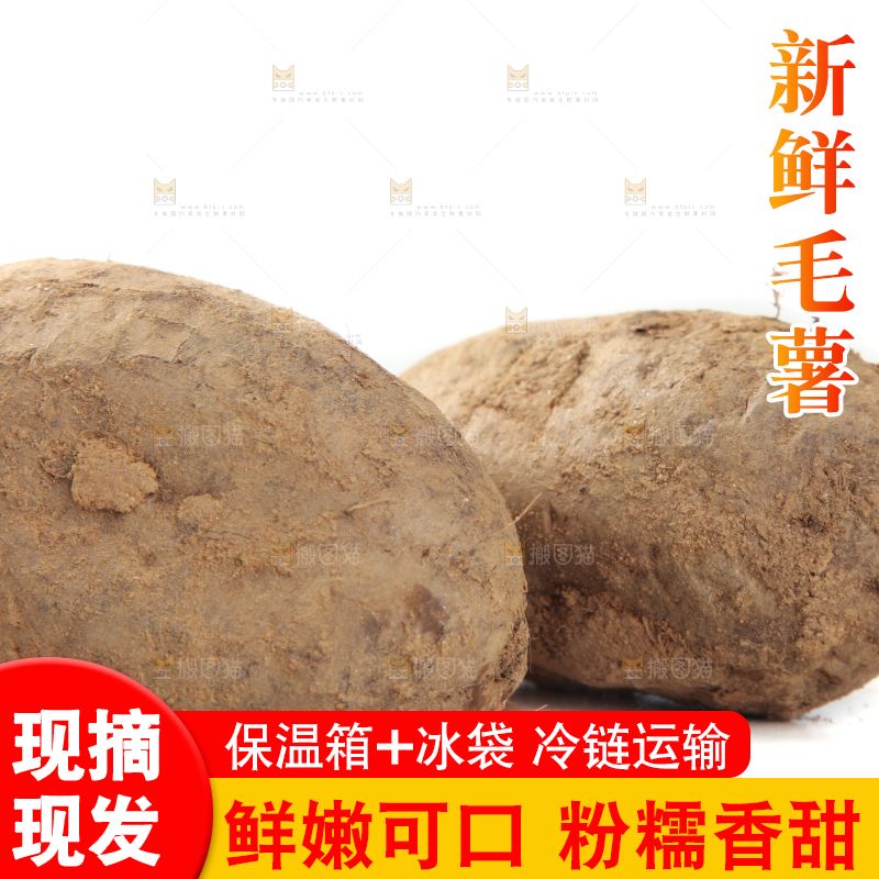 白底上的毛薯