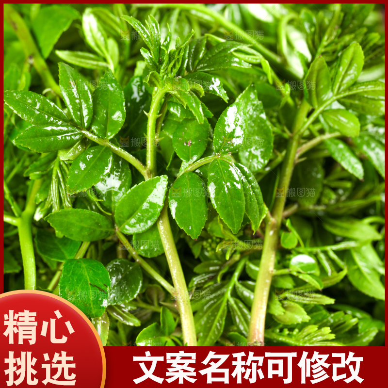 深底上花椒芽