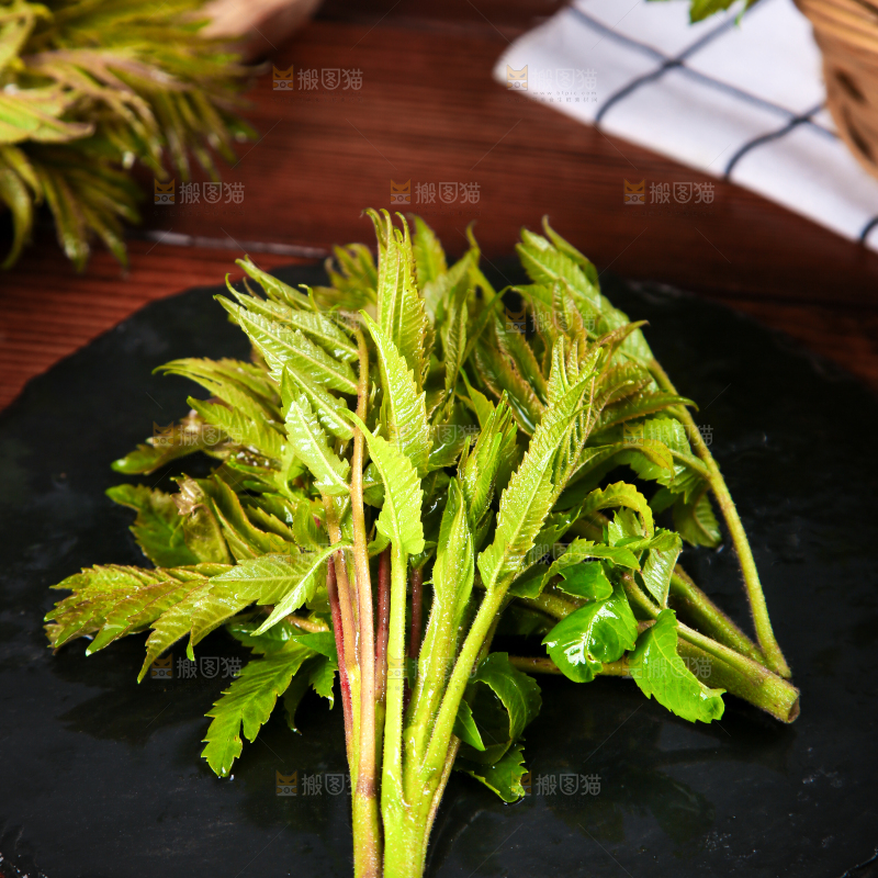 黑石板上的山东香椿芽