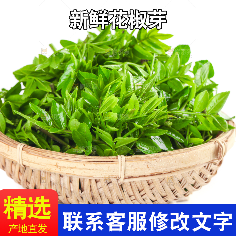 一筐野生花椒芽放在白底上