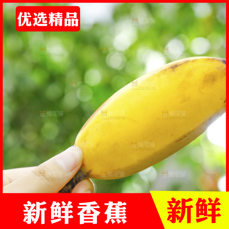 手新鲜苹果蕉