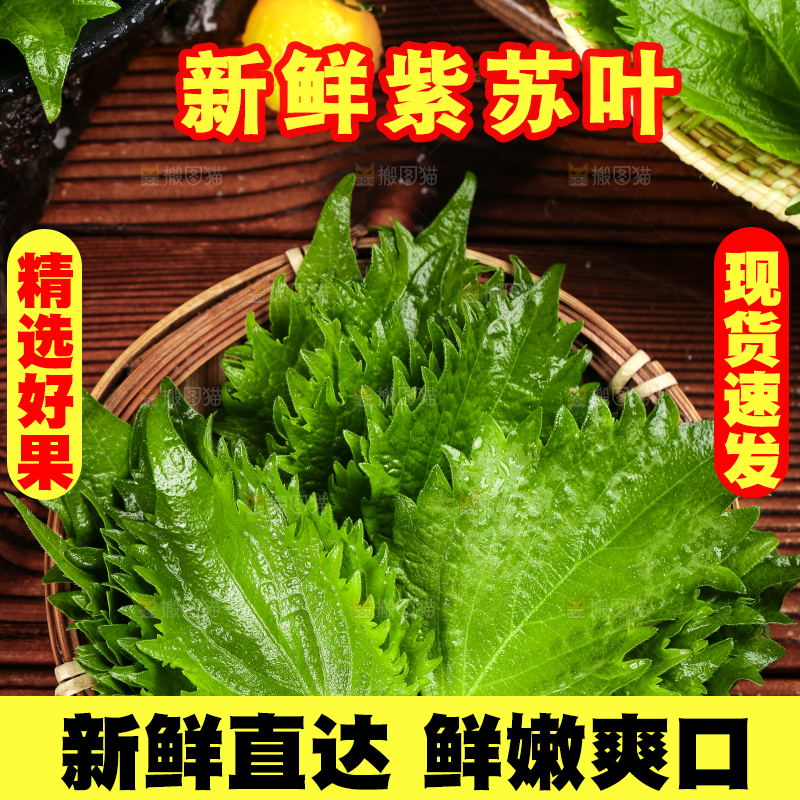 木底上的新鲜紫苏叶