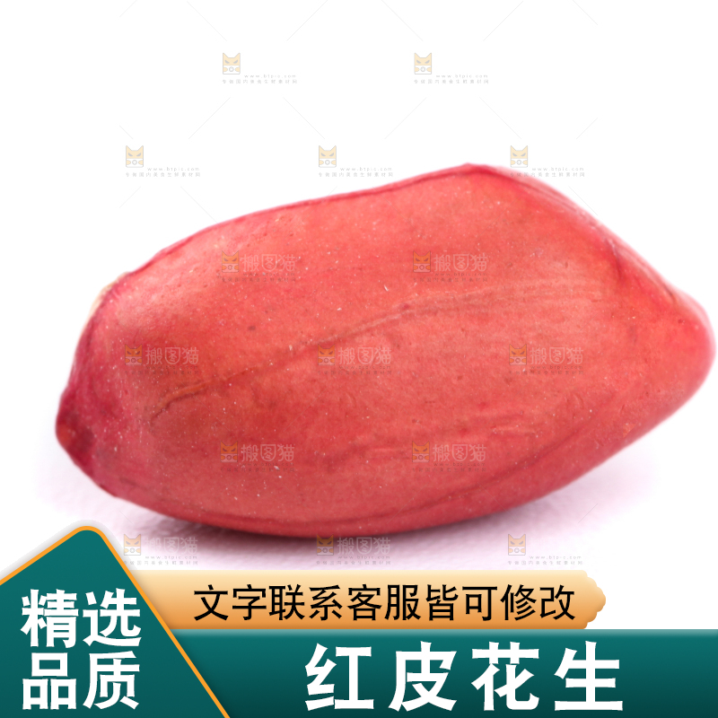 东北红皮花生放在白底上