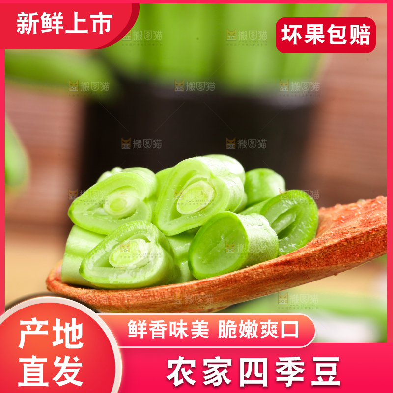 勺子里放着农家四季豆
