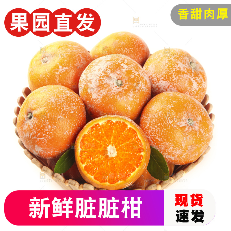 白底上放着一筐广西武鸣茂谷柑