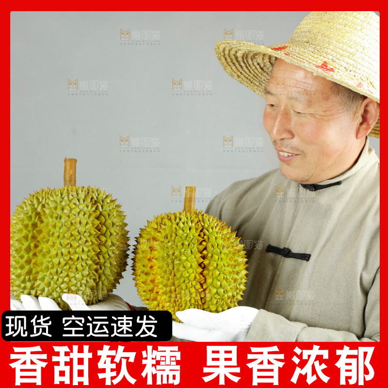 农民手里拿着泰国甲仑榴莲