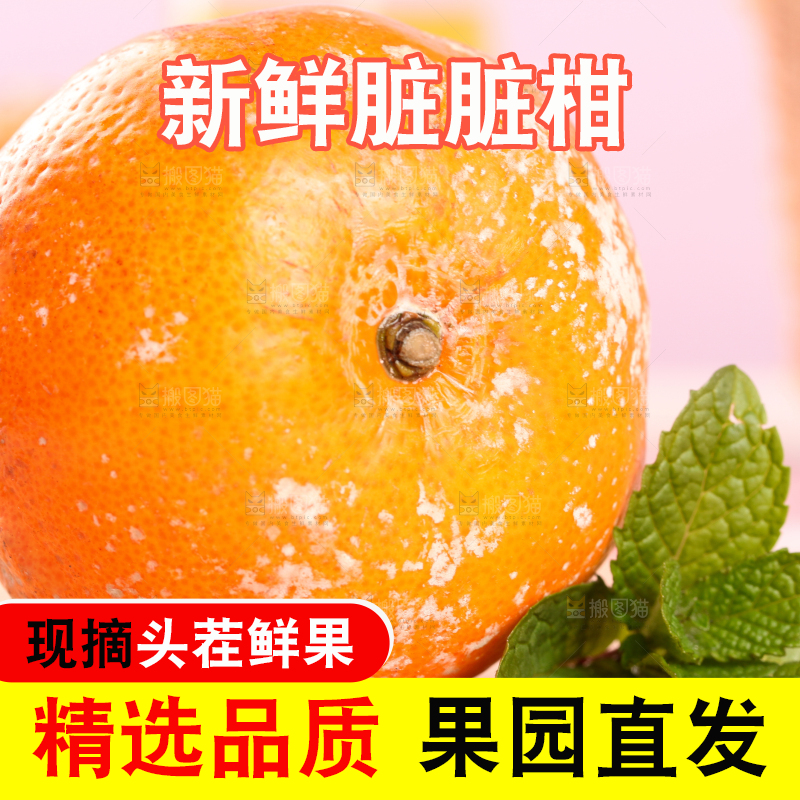 木底上的新鲜茂谷柑
