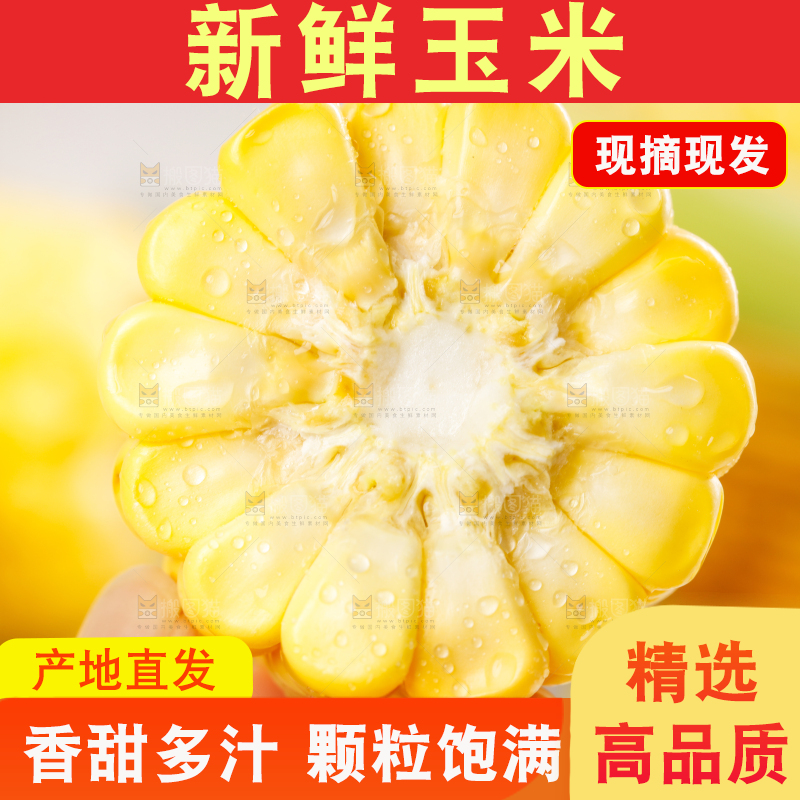浅底上的黄玉米