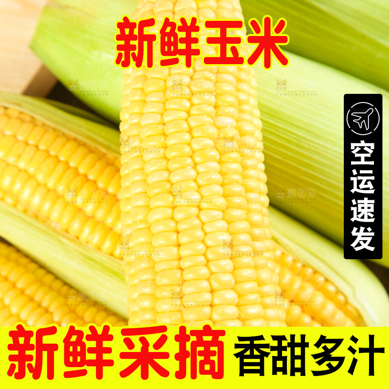盘子里装着东北玉米