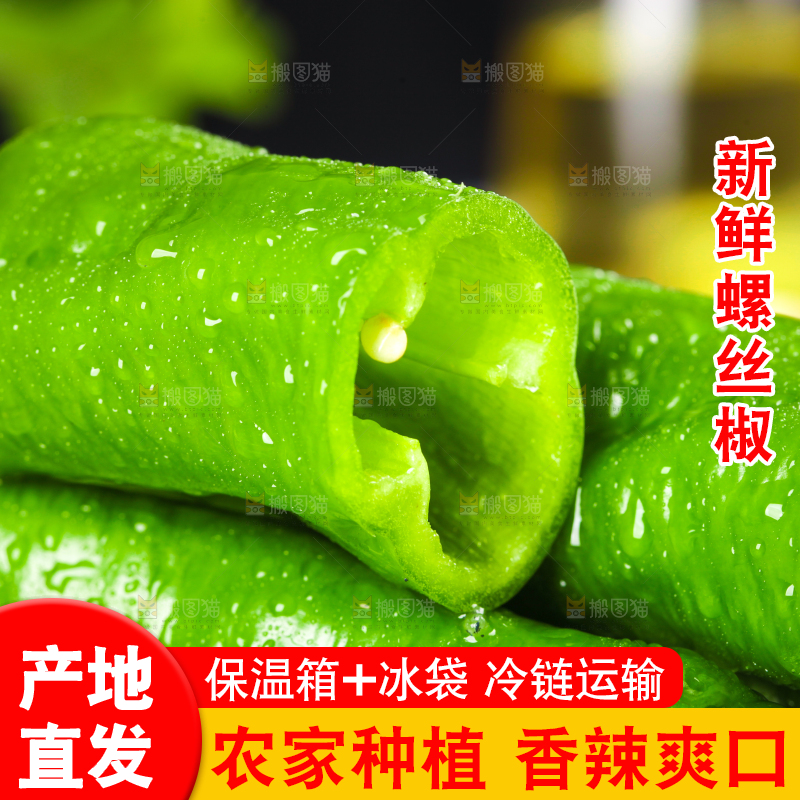 木板上放着陕西螺丝椒