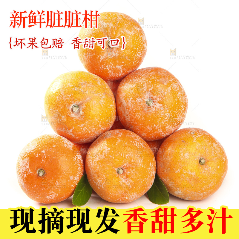 一堆脏脏柑放在白底上