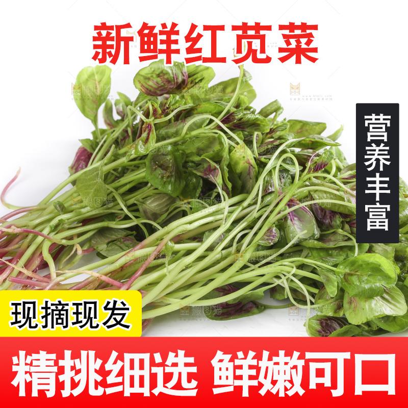 白底上的红苋菜