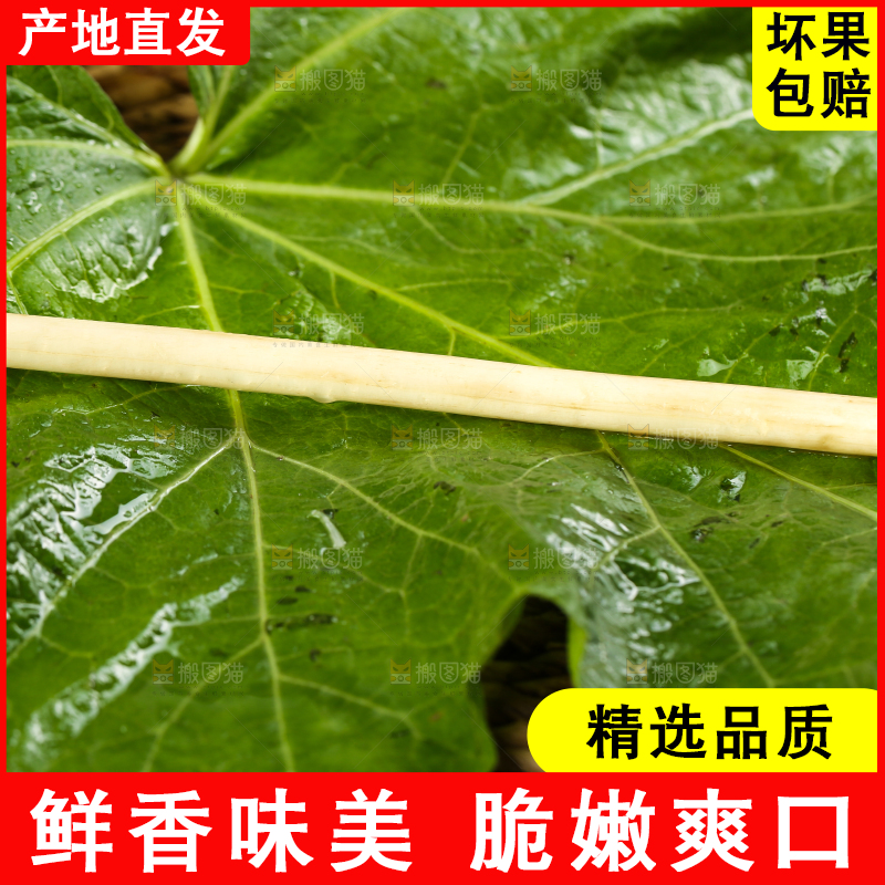 荷叶上放着藕带