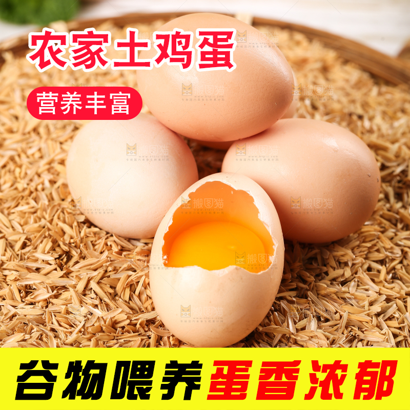 盘子里的散养土鸡蛋