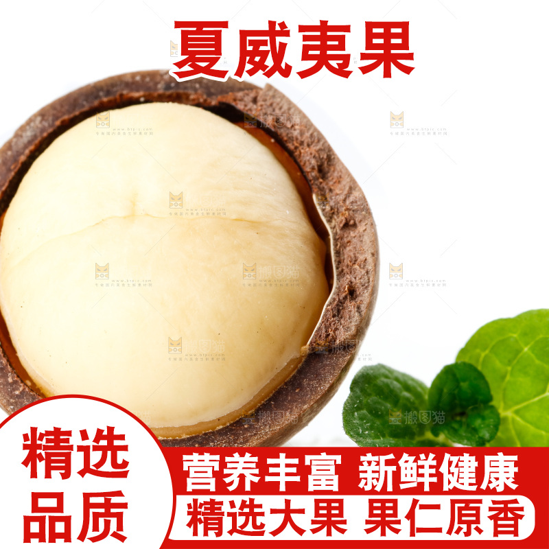 白底上的夏威夷果