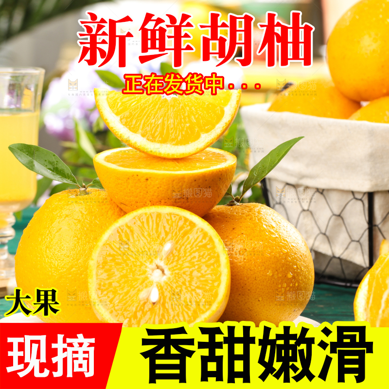 蓝底上的常山胡柚