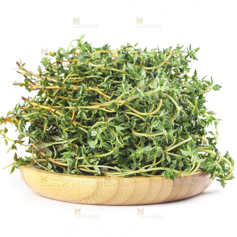 一盘麝香草放在白底上