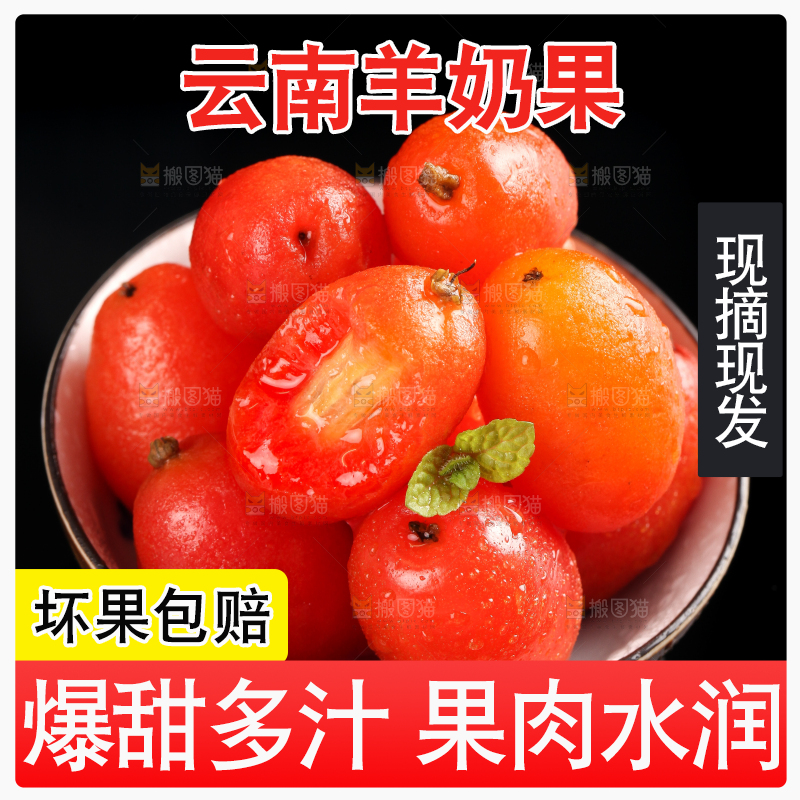 黑底上放着一碗胡颓果