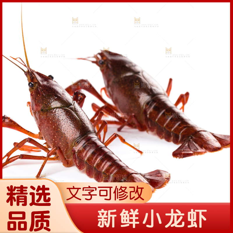 白底上放着潜江小龙虾