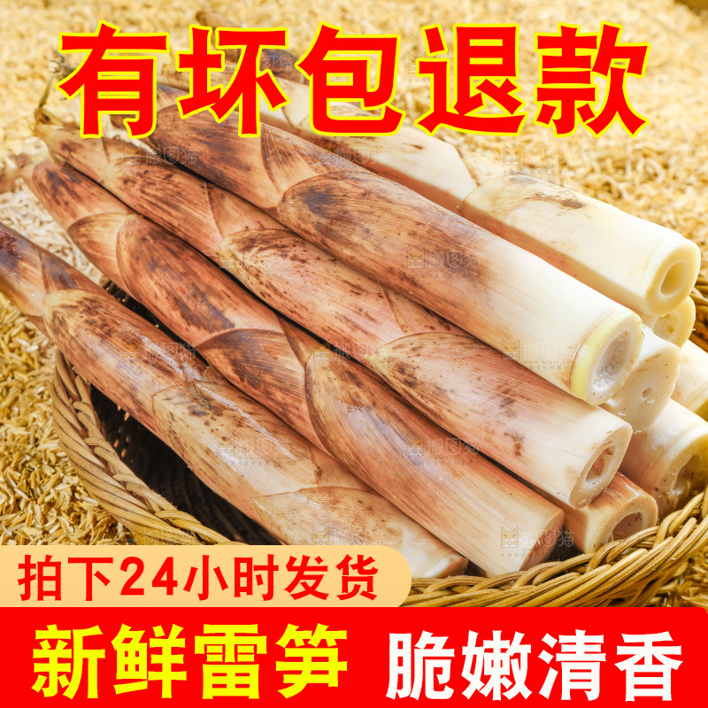 浅底上放着一筐雷笋