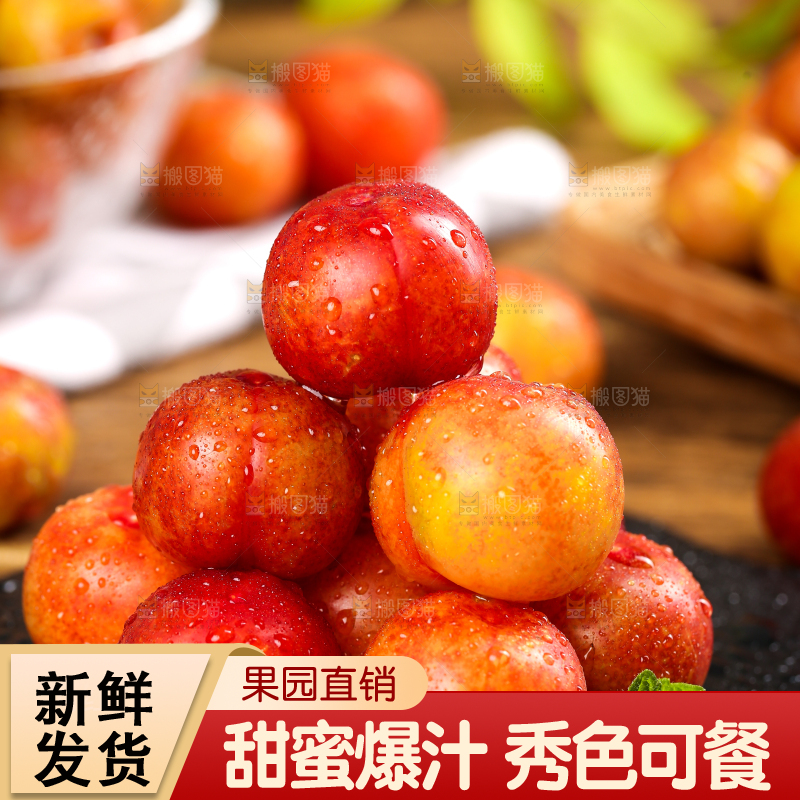 黑石板上放着钱排三月李