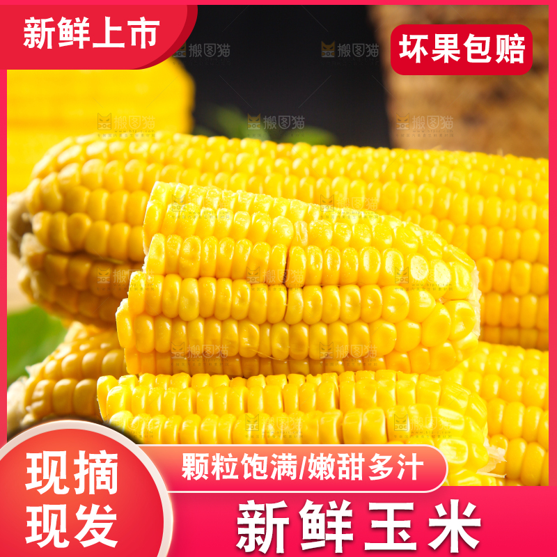 木板上的东北玉米