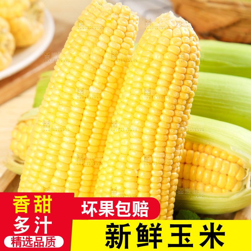盘子里装着东北玉米