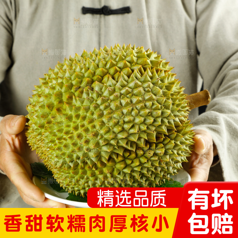 农民手里拿着泰国甲仑榴莲