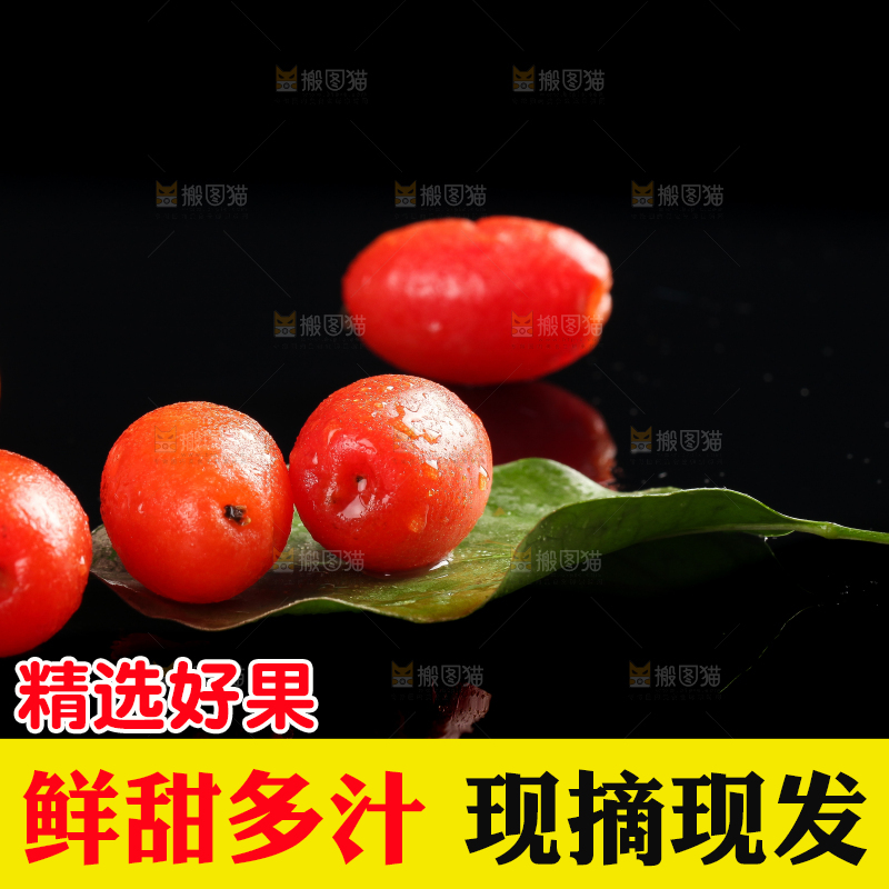 树叶上的云南羊奶果