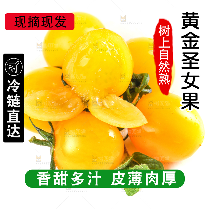切开的黄金小番茄放在白底上