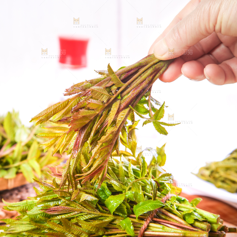手拿香椿芽