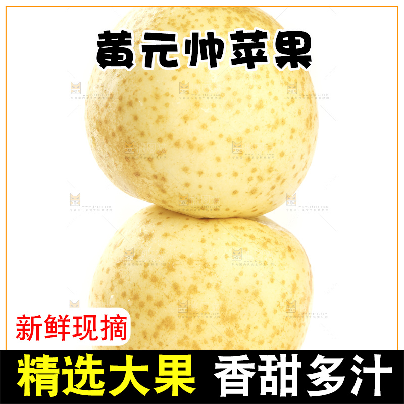 白底上的烟台黄元帅苹果