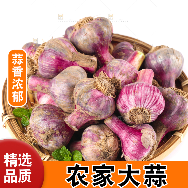篮子里的大理紫皮多瓣蒜