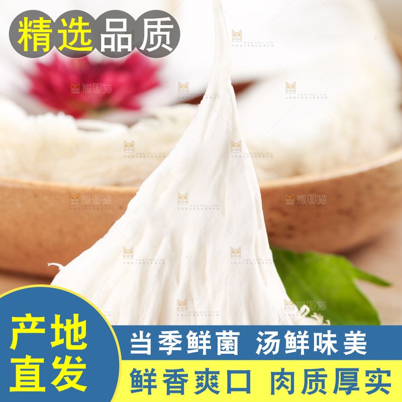 碟子里放着东北山猴头菇