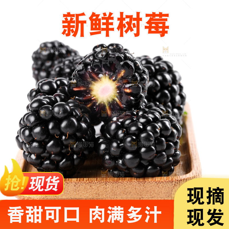 一盘黑树莓放在白底上