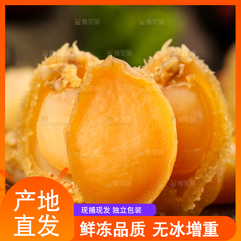 木底上的北海鲍鱼干