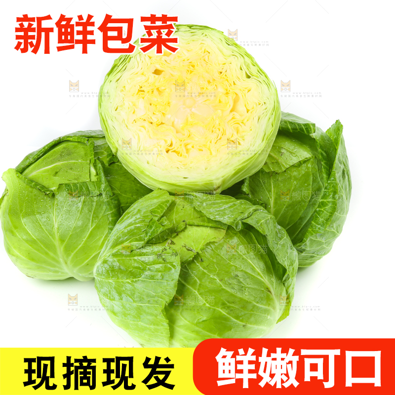 切开的卷心菜放在白底上