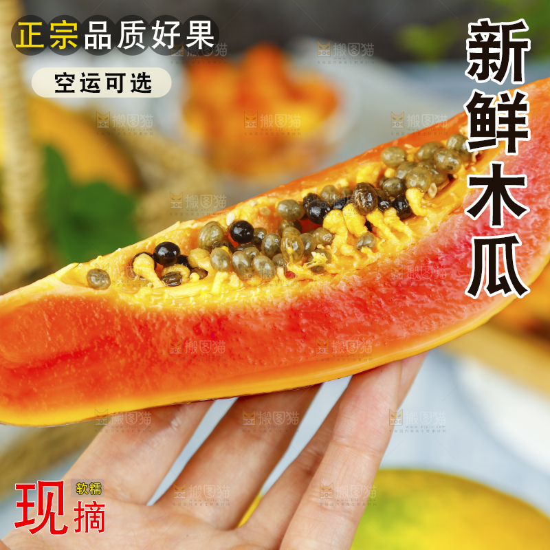 手里拿着云南红心木瓜