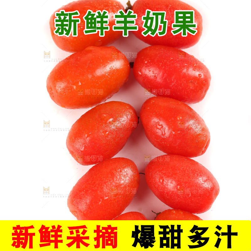 白底上的胡颓果