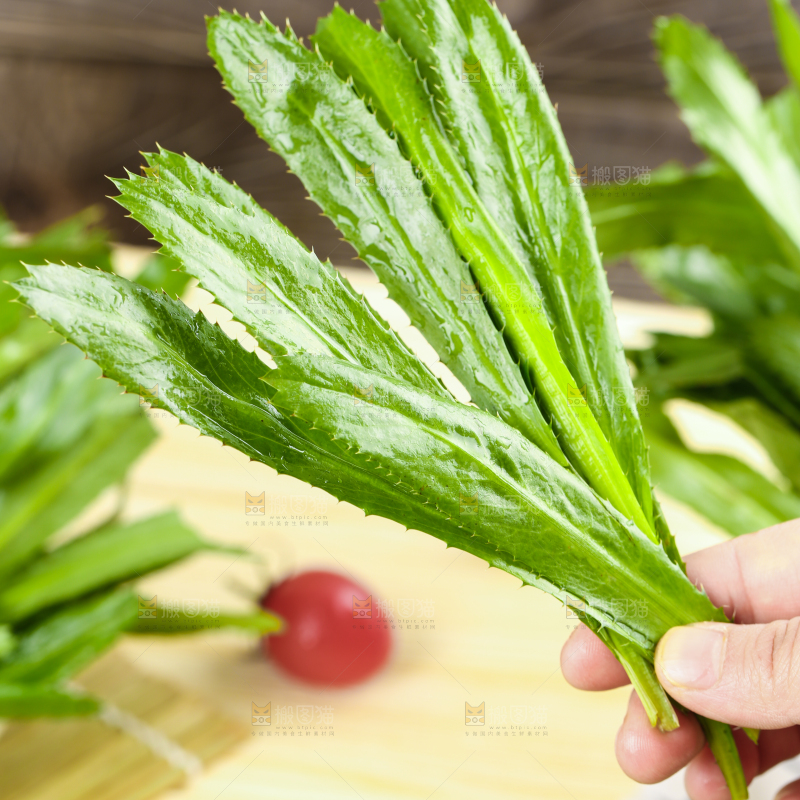 手拿云南大香菜