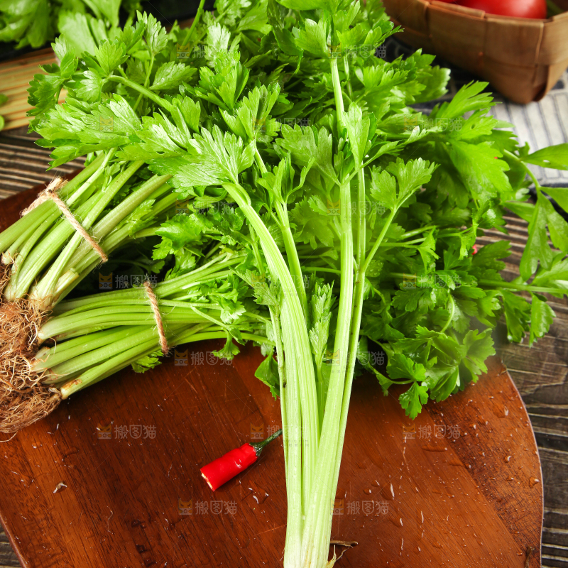 深底上的新鲜香芹