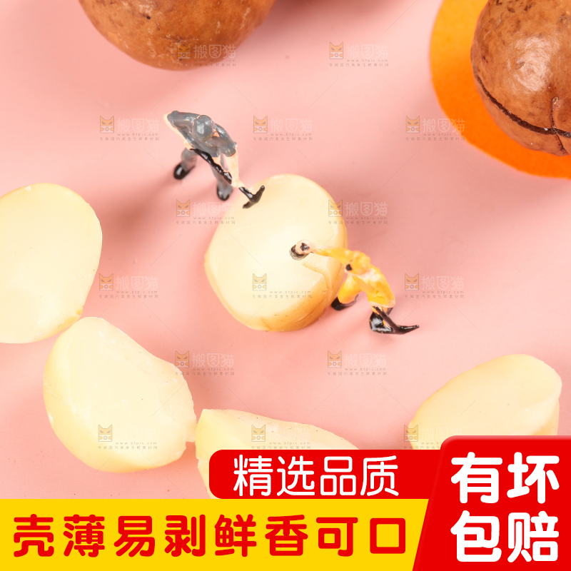 浅底上的夏威夷果