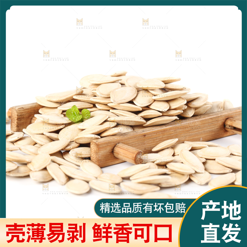 白底上的薄壳南瓜子