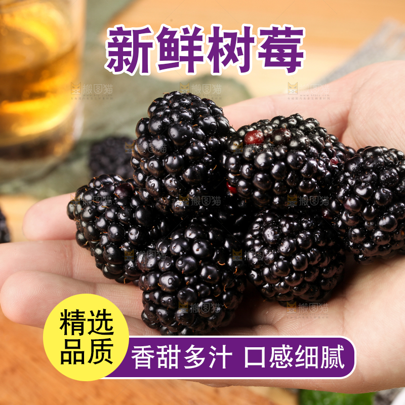 手拿黑树莓