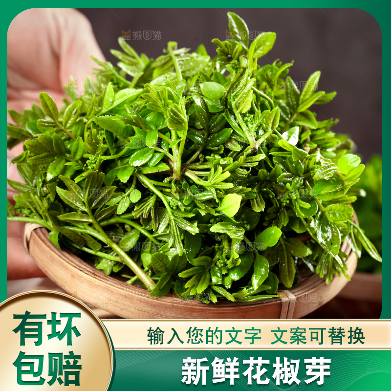 手拿一盘新鲜的花椒芽