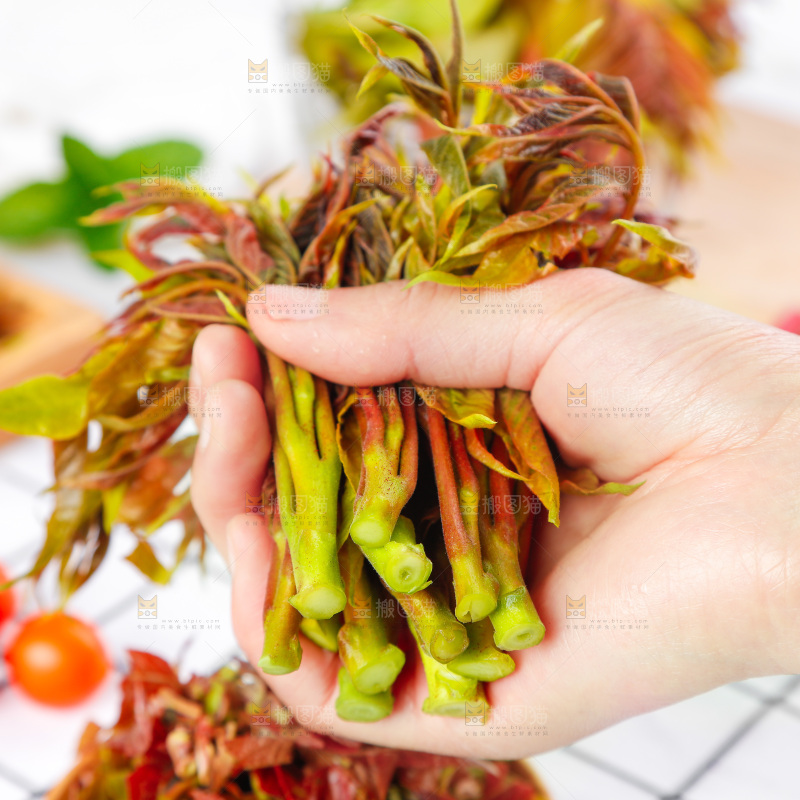 手拿沂蒙山香椿芽