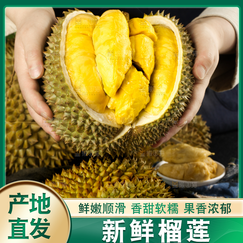 黑底上的进口甲仑榴莲